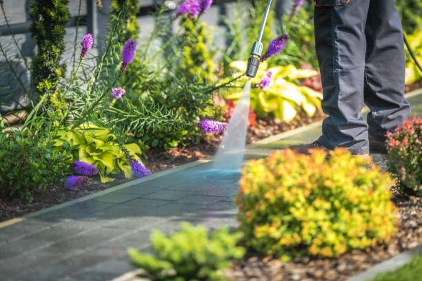 Best Sidewalk and Walkway Cleaning  in Ortonville, MN