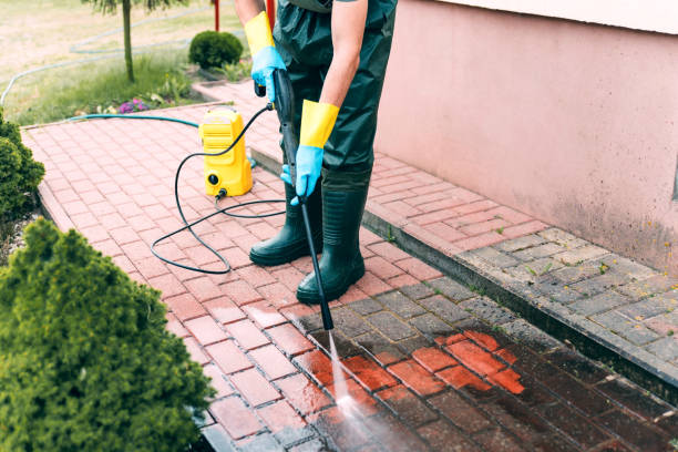 Best Driveway Pressure Washing  in Ortonville, MN